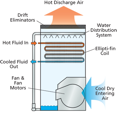 eco lswe dry